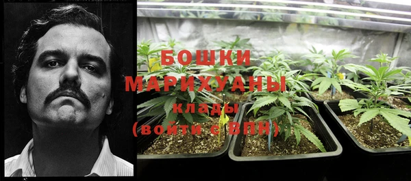 молекула духа Беломорск