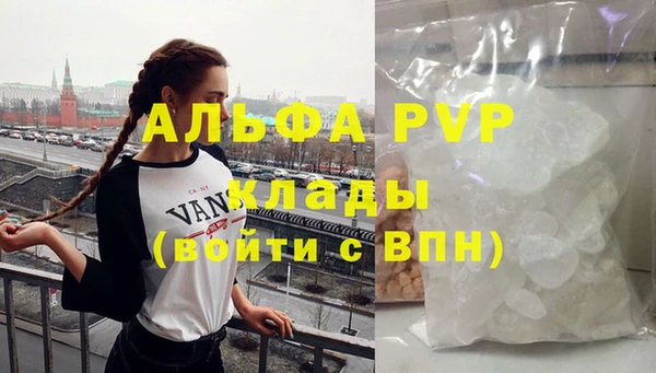сатива Белокуриха