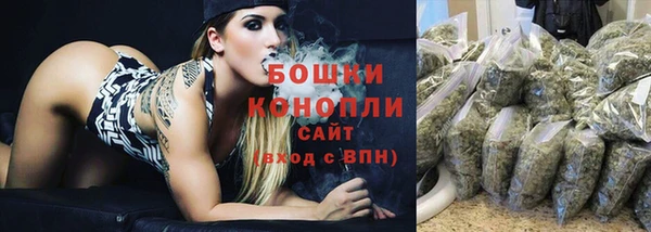 сатива Белокуриха
