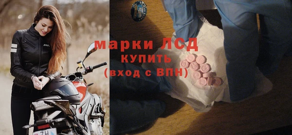 сатива Белокуриха